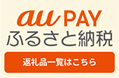 au PAYふるさと納税