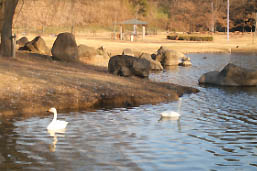 きぬ総合公園2