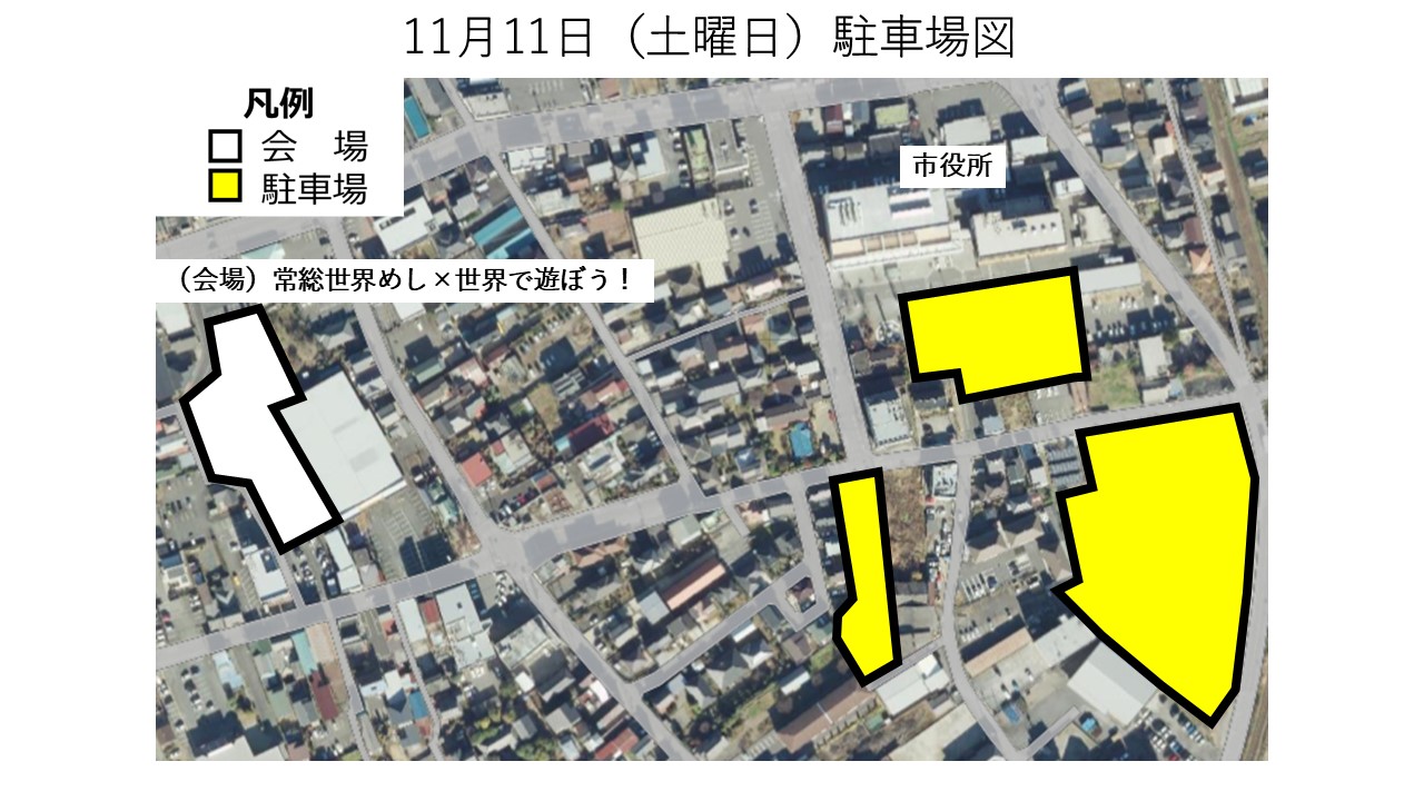11.11個別