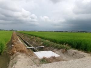 田んぼダム三坂地区1