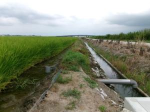 田んぼダム三坂地区2