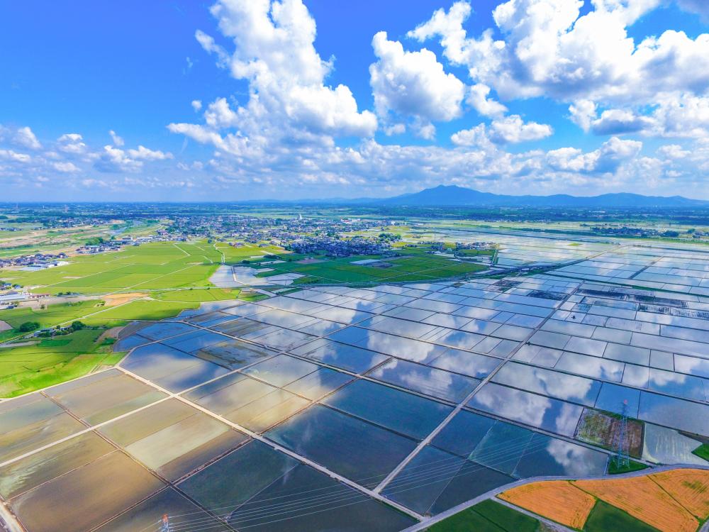 常総市航空写真