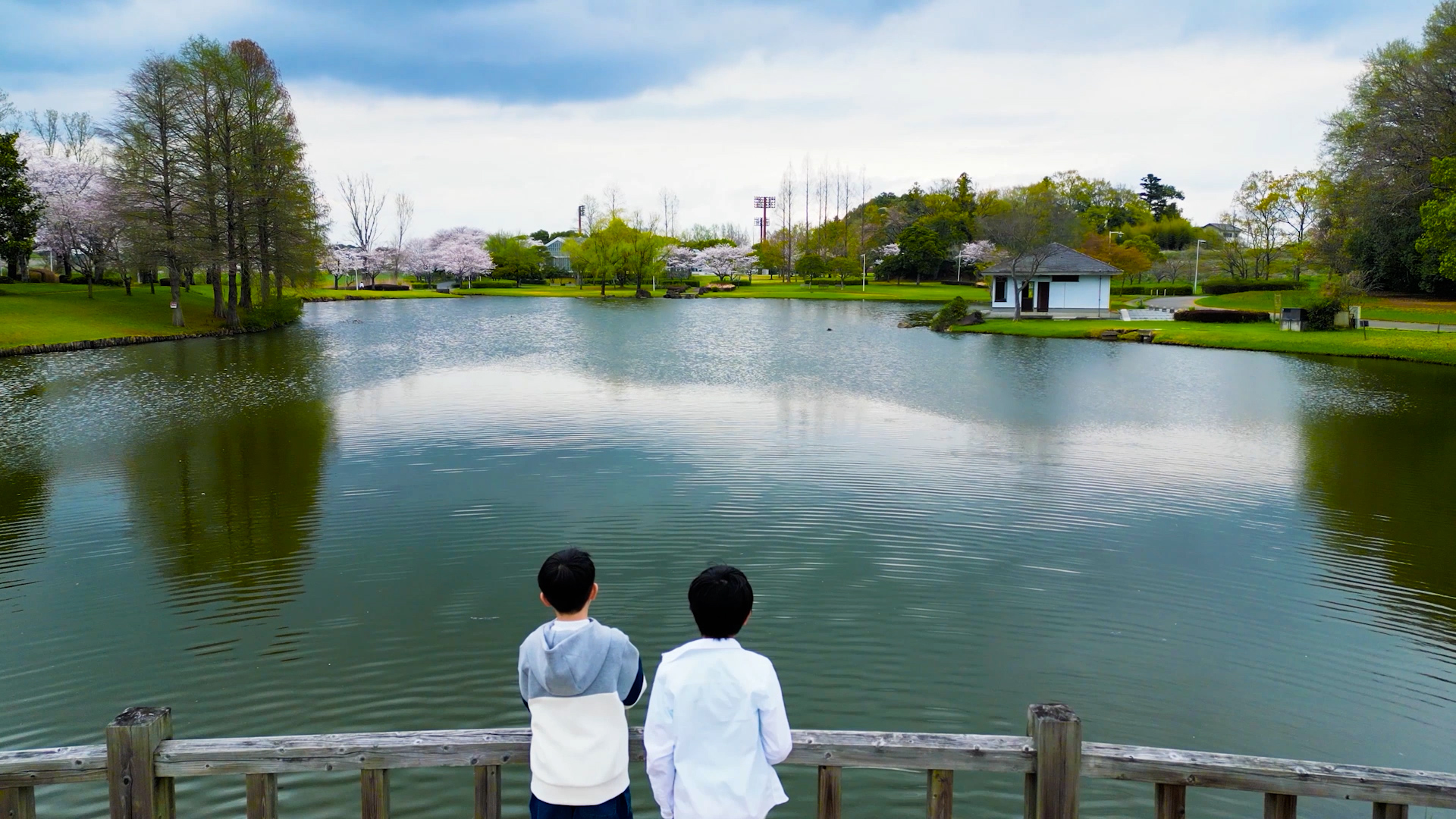 行けば、分かる。常総市切り出し2