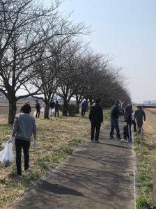 桜まつり㏌豊田3