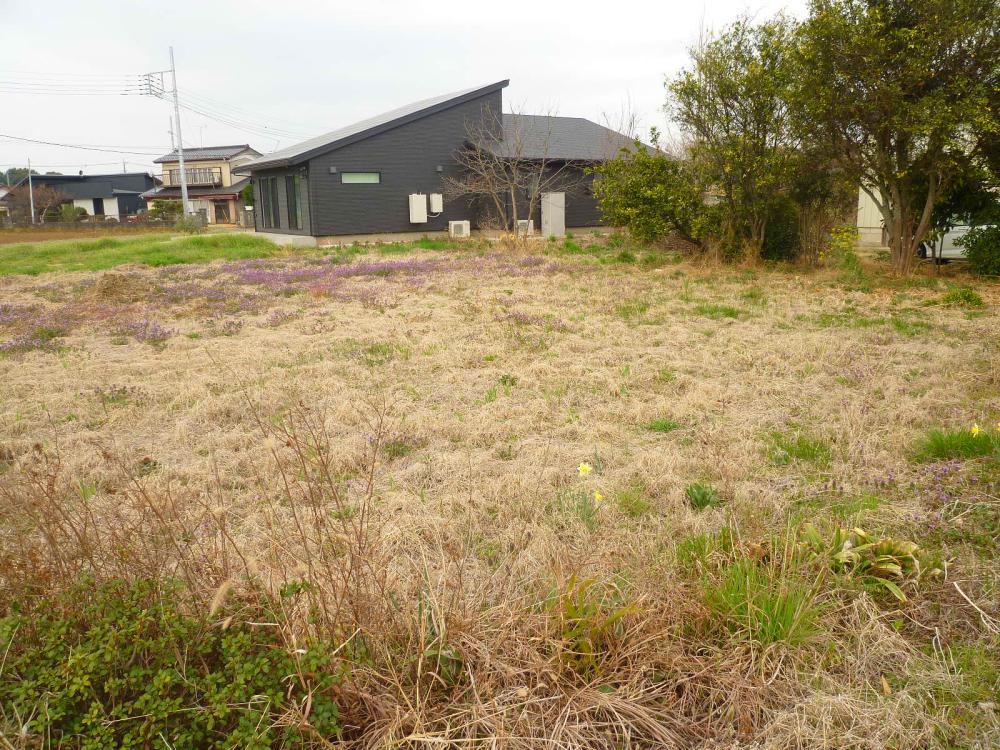 隣接地の畑
