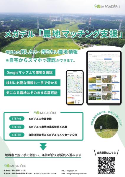 メガデル_担い手用