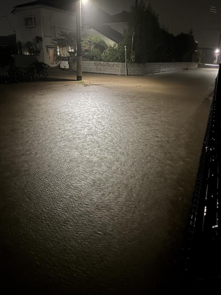 現場の写真1:道路の異常(道路の陥没、側溝の破損、道路上の草木繁茂)